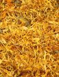 Dried Herbs- Calendula 10 grm For Discount