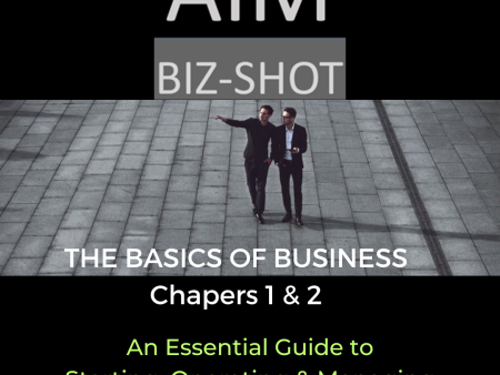 The Basics of Business - Part 1  & 2  ON SALE   DISCOUNTED Hot on Sale