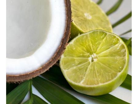 Coconut Lime Verbena - Candle For Sale