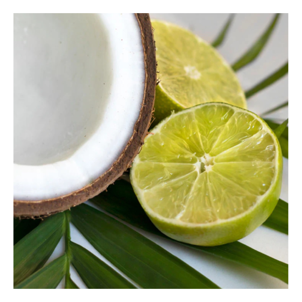 Coconut Lime Verbena - Candle For Sale