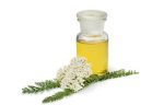 Yarrow Oil 50 mls Hot on Sale