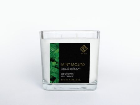 Mint Mojito 100% Pure Soy Double Wick Candle Supply