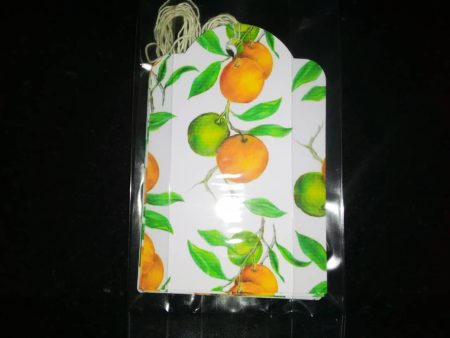 Gift Tags - Citrus (large) Pack of 6 For Sale