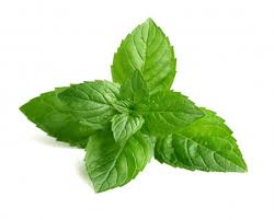 Dried Herbs- Mint Leaves 60 grm Online