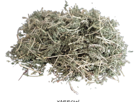 Dried Herbs -Yarrow 10 grm Fashion