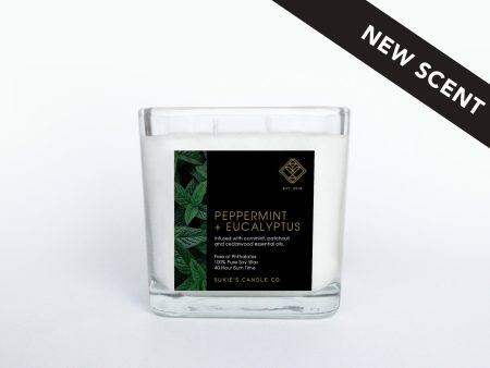 Peppermint + Eucalyptus 100% Pure Soy Double Wick Candle For Sale