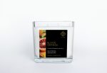 Blood Orange 100% Pure Soy Double Wick Candle Online Hot Sale