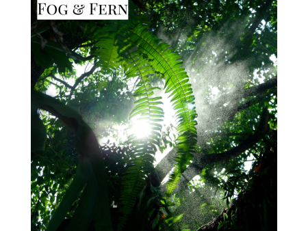 Fog & Fern - Candle Discount