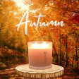 Fireside - Limited Autumn Candle Online