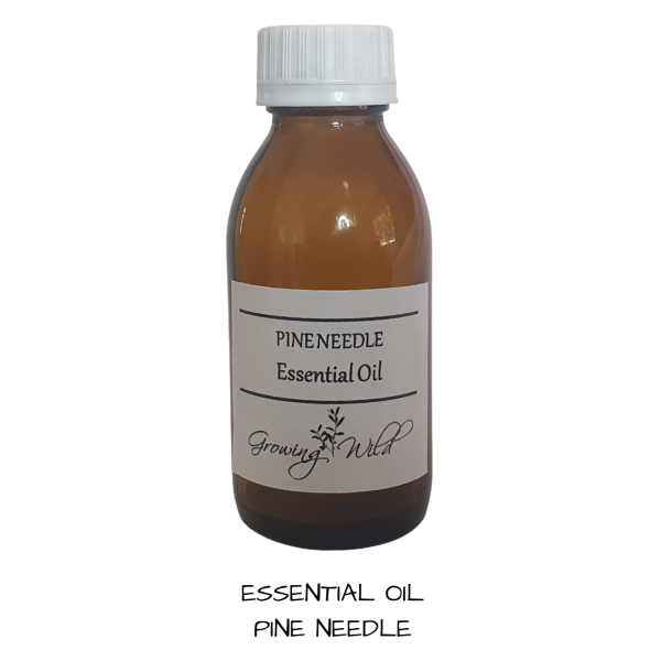 EO Pine Needle Essential Oil 10 mls Supply