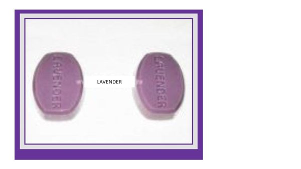 Soap Mould   PVC  Lavender Bar SB10 Online now