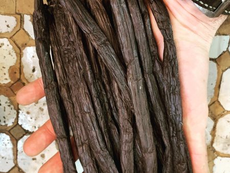 Vanilla Beans (Tahiti) Sale