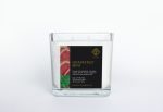 Grapefruit Mint 100% Pure Soy Double Wick Candle Online