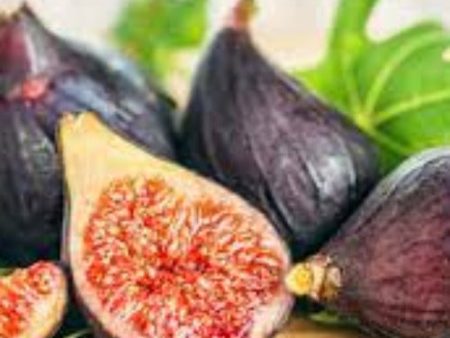 Fragrance Bulk Delicious Fig CLA 1 litre Supply