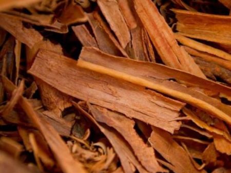 EO Cinnamon Bark Essential Oil 10 mls For Discount