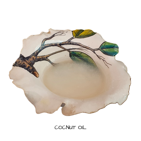 Coconut Oil  Refined  500 mls Online Hot Sale