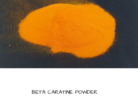 Dried Herbs- Beta Carotene 10 grm For Cheap