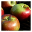 Crisp Apple - Candle Online Sale