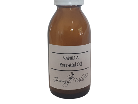 Vanilla Essential Oil  100 mls Online Hot Sale