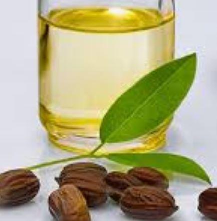 Jojoba Oil 100ml Hot on Sale