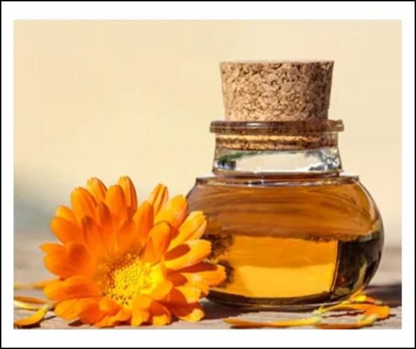 Calendula Oil 50 mls Online