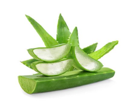 Fragrance Aloe Vera 500 mls Online Hot Sale