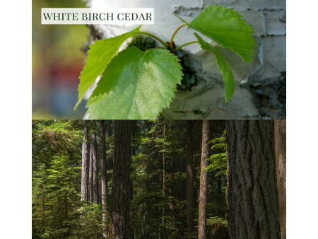 White Birch Cedar - Linen & Room Spray Fashion