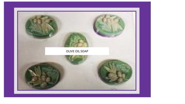 Soap Mould   PVC  Olive Oval Online Hot Sale