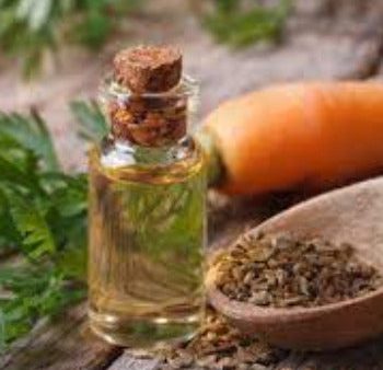 EO Carrot Extract Essential Oil 10 mls For Discount