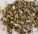 Devil Claw Root on Sale