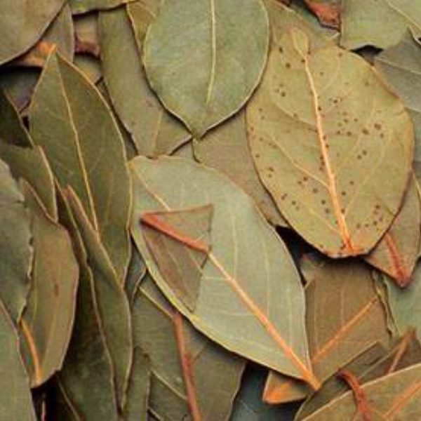 Bay Leaves Online Sale